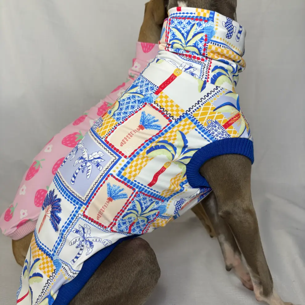 Kevin modelling Paradise Palms SPF50+ swimmers - close up facing right with Strawberry Shortcake swim behind