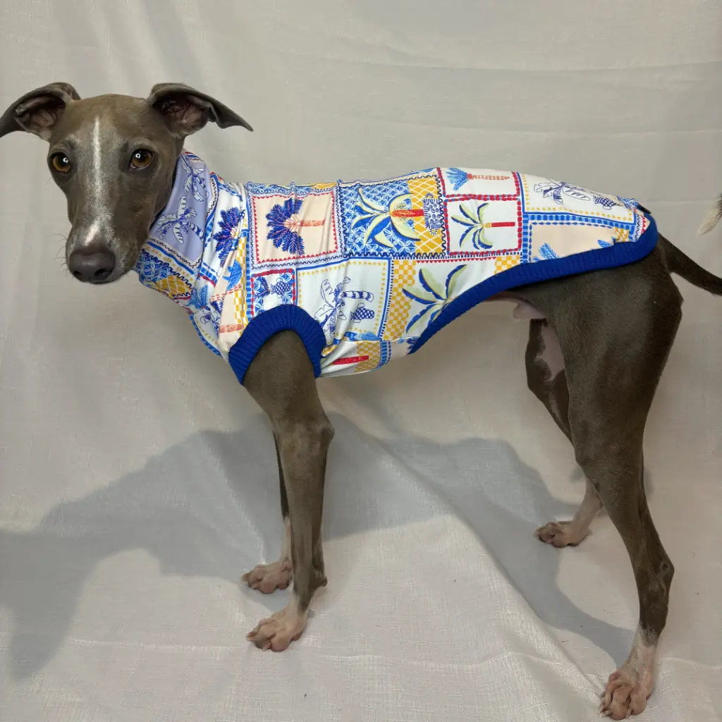 Kevin modelling Paradise Palms SPF50+ swimmers - standing facing the camera