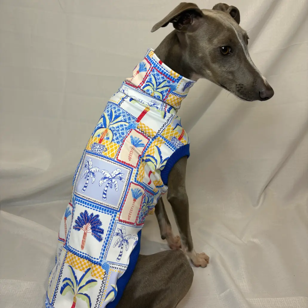 Kevin modelling Paradise Palms SPF50+ swimmers - sitting side on looking back