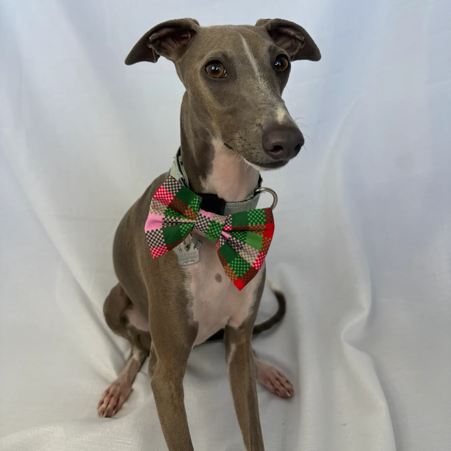 Christmas Gingham Bow Tie - kevin sitting with it on collar