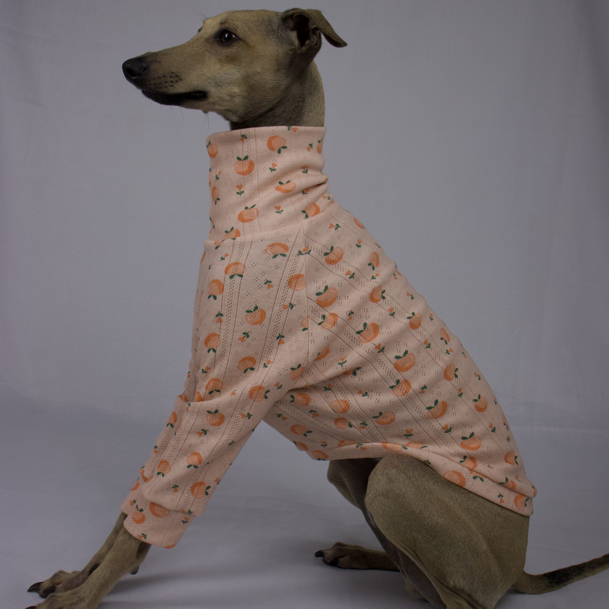 DOUG FACING SIDEWAYS IN PEACH PLEASE