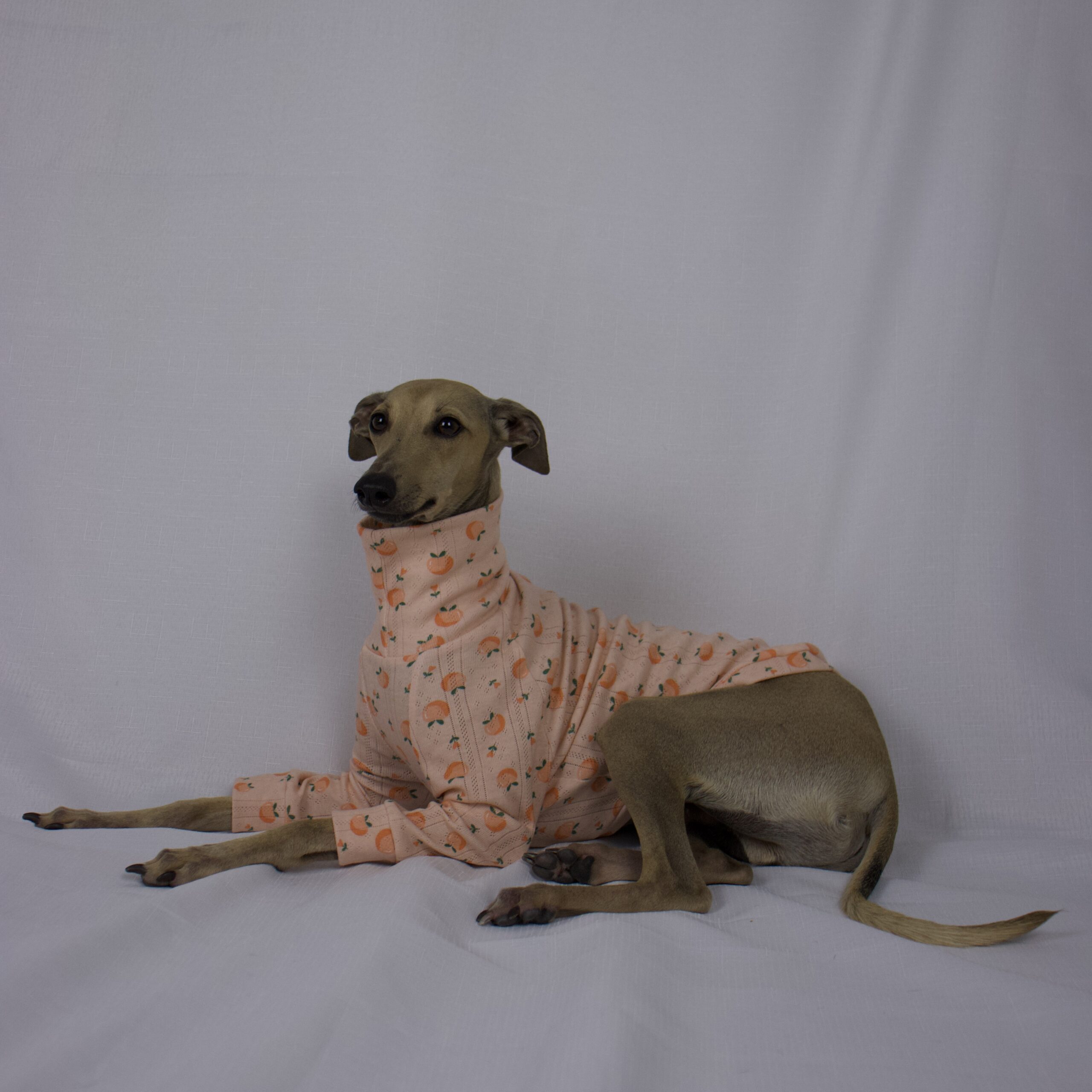 DOUG LAYING DOWN IN PEACH PLEASE