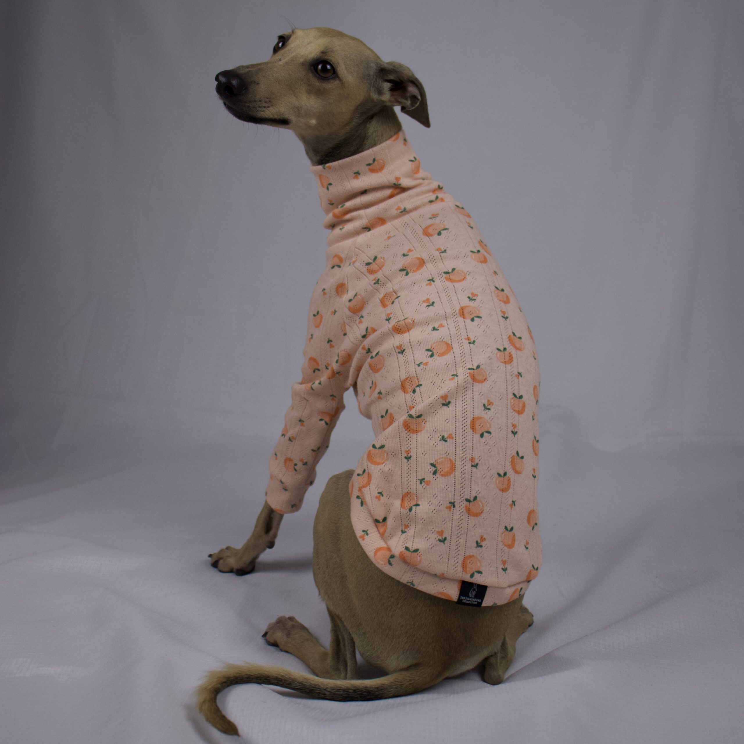 DOUG LOOKING BACK AT CAMERA IN PEACH PLEASE