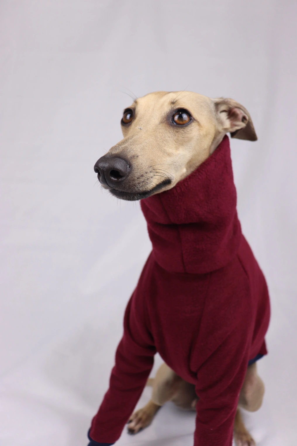 Ralphie Red Half Suit - Image 5