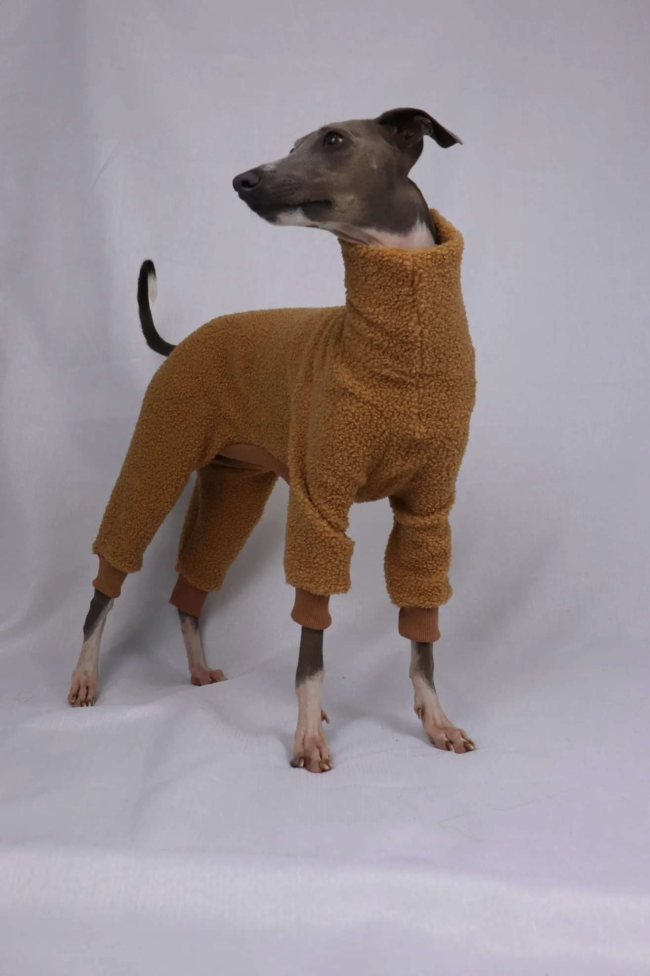 Honey Hug - Teddy Full Suit - Image 5