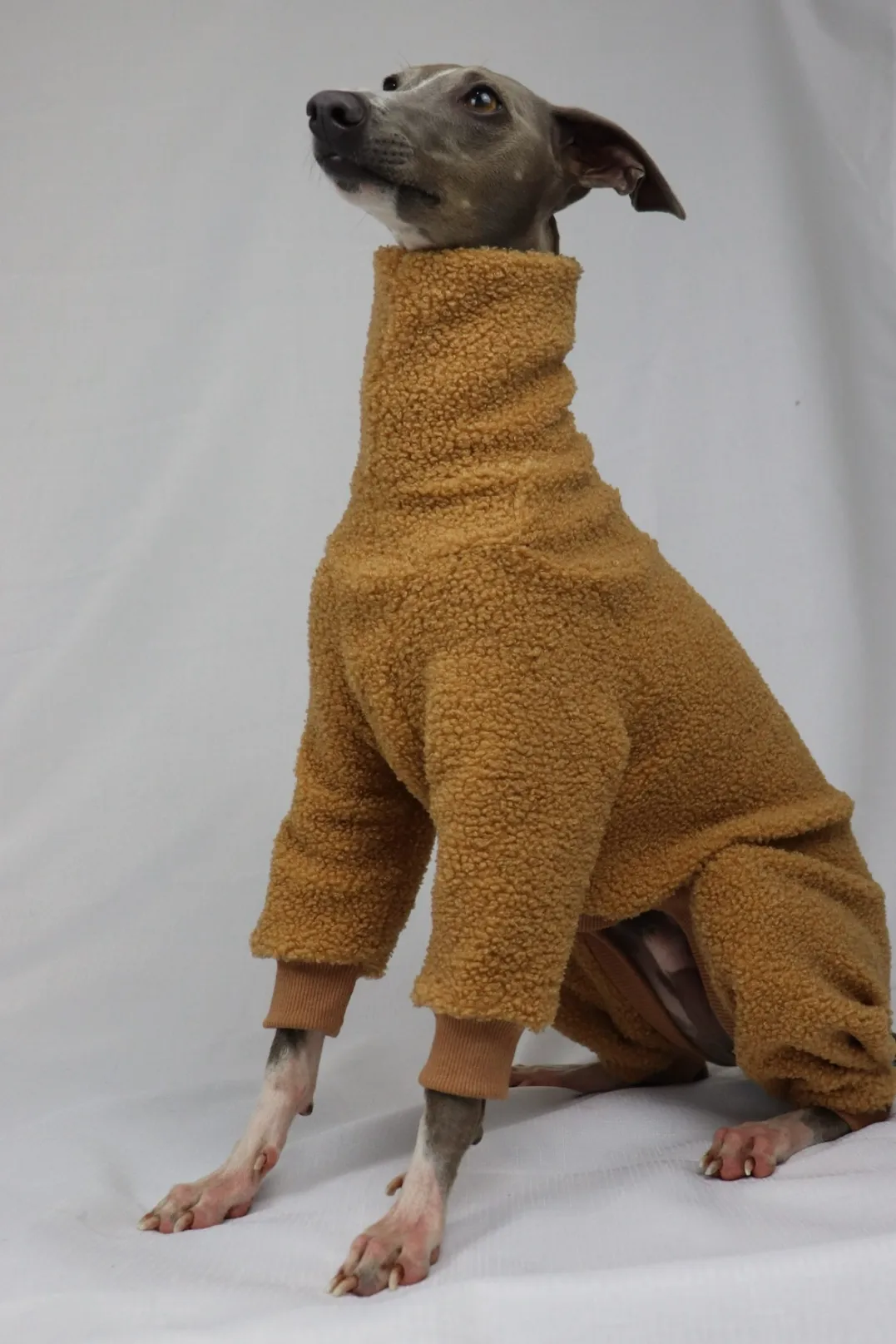 Honey Hug - Teddy Full Suit - Image 3