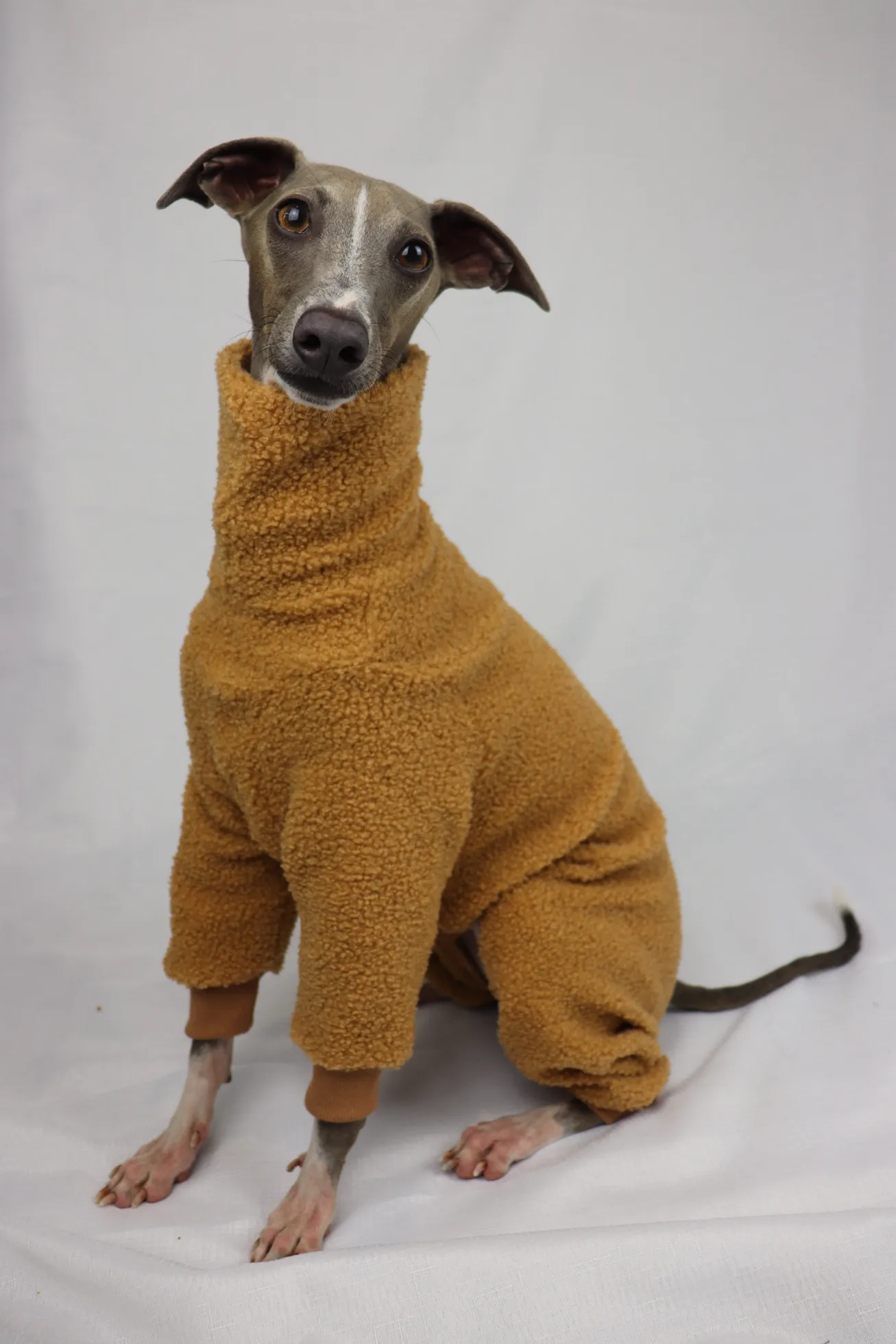 Honey Hug - Teddy Full Suit