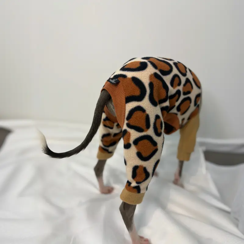 Kevin the Italian Greyhound standing up looking from behind to show off the back of the Cheetah patterned Full Suit