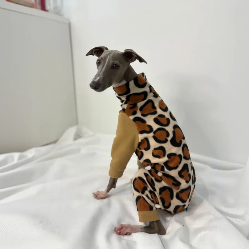 Kevin the Italian Greyhound siting up looking side on to show off the side of the Cheetah patterned Full Suit