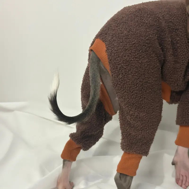 Kevin Italian Greyhound standing up showing of his rear view of The Sighthound Collection Full Fleece Suit in Cocoa Bean Brown and Tan colour