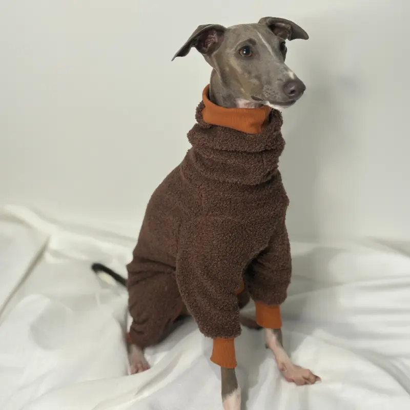 Kevin Italian Greyhound sitting up and modeling The Sighthound Collection Full Fleece Suit in Cocoa Bean Brown and Tan colour