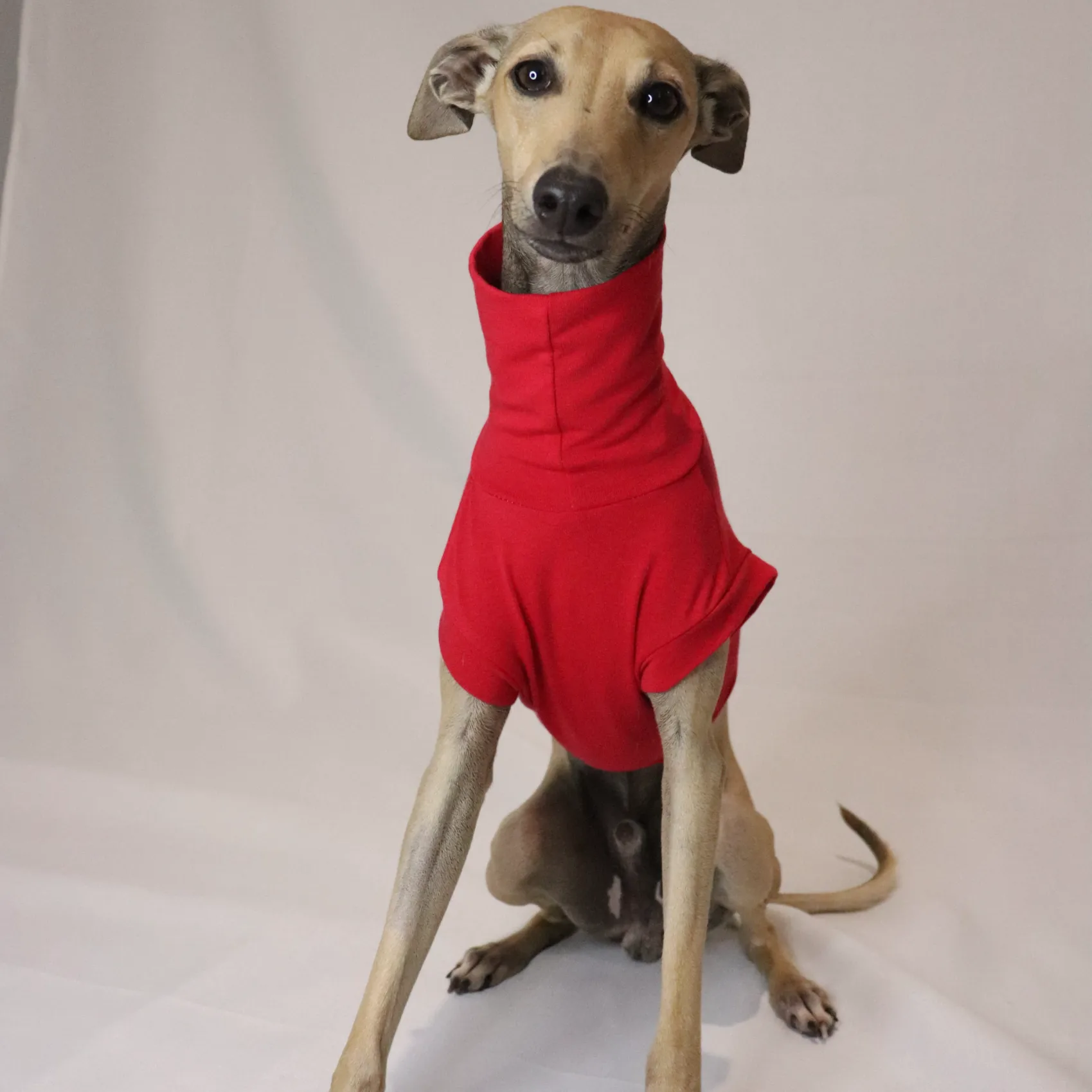 Doug in fast n flirty facing forward smiling