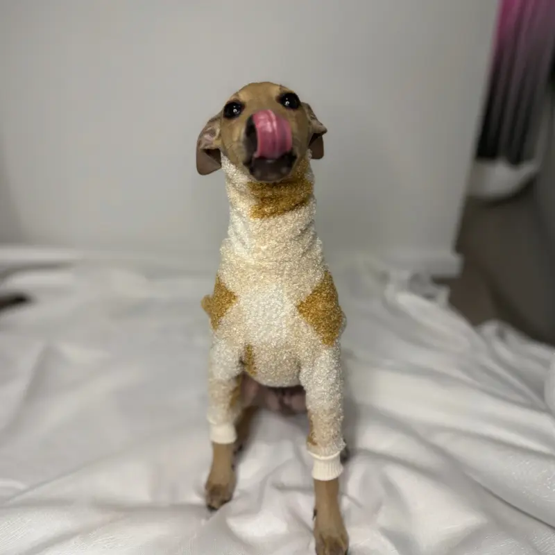 Douglas an italian greyhound sitting up looking at the camera and sticking his big tongue out while modeling The Sighthound Collections Half Suit in Butterscotch Baby. A checkered pattern of multiple tan colours