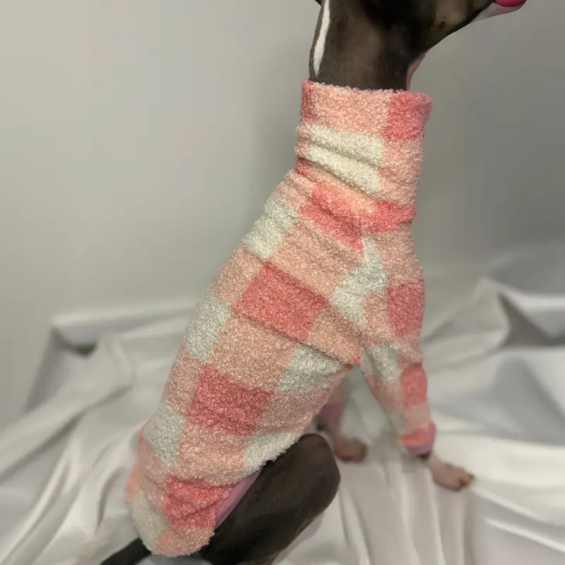 Kevin the Italian Greyhound Modeling The Sighthound Collections Half Suite in Cotton Candy a checkered Pattern in off white, pale pinks colours side view close up