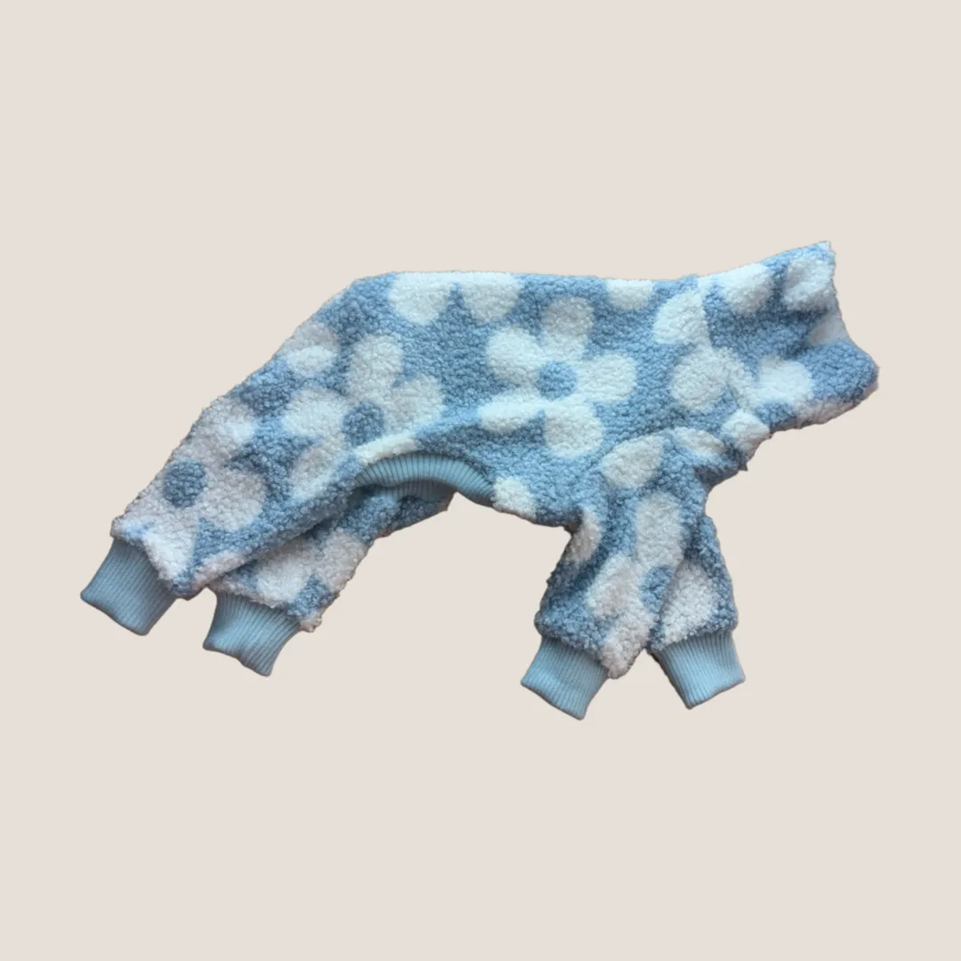 Winter bloom full suits with no background on its on