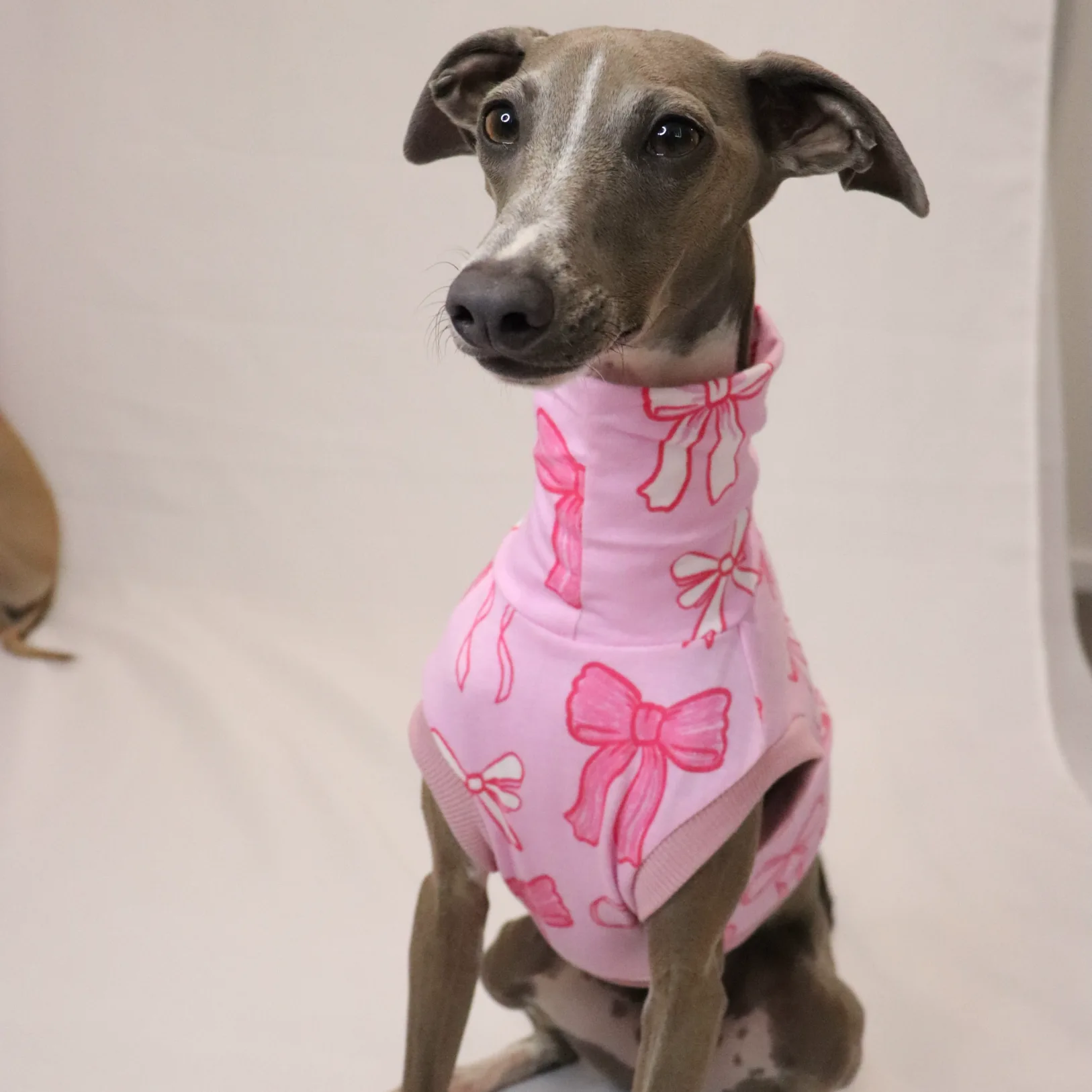 Kevin in Cupids bow facing camera