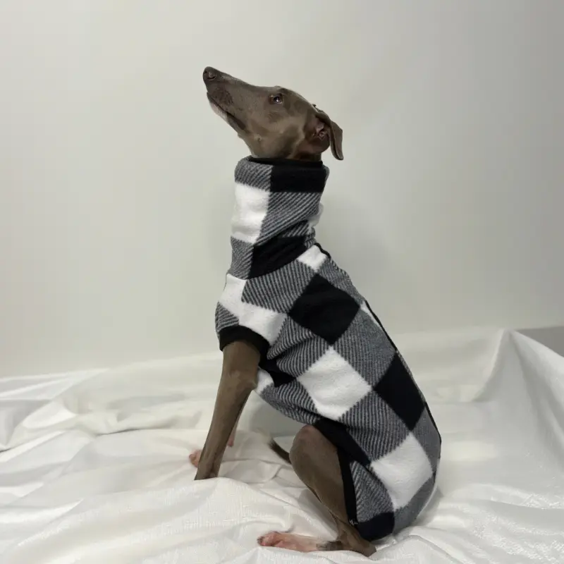 Kevin an Italian Greyhound Modelling The Sighthound Collection sCheck Me Out Sleeveless Fleece a Checkered Black, Grey and White Suit Side View
