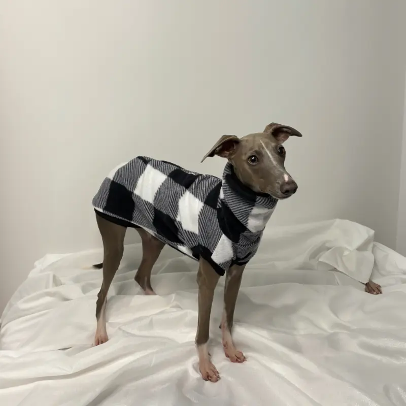 Kevin an Italian Greyhound Modelling The Sighthound Collection sCheck Me Out Sleeveless Fleece a Checkered Black, Grey and White Suit Standing up side view