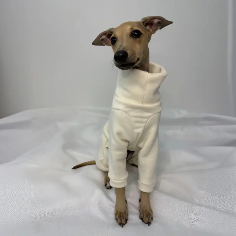Douglas looking at the camera while modelling The Sighthound Collections Full Suite Cream Puff suite in cream colored sweater fabric