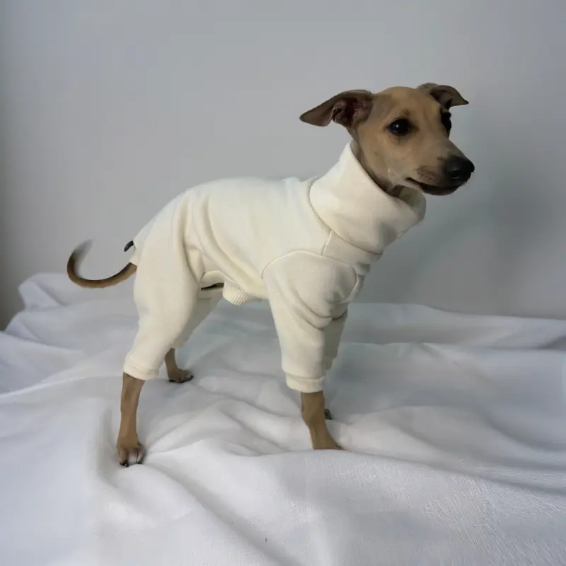 Douglas looking at the camera side view while modelling The Sighthound Collections Full Suite Cream Puff suite in cream colored sweater fabric
