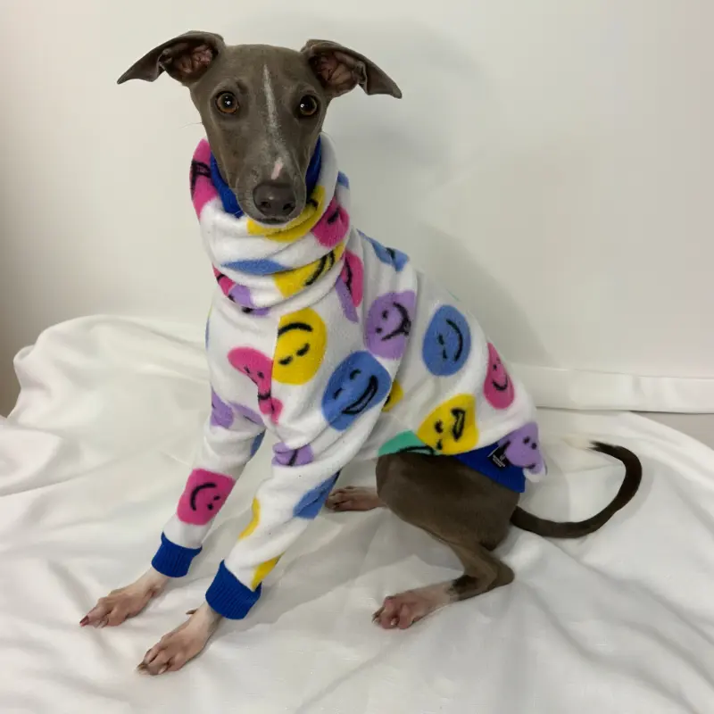 Douglas the Italian Greyhound Sitting up modeling The Sighthound Collections Half Suit in Happy Hound side view print a white suit with multi coloured Happy face emojis.