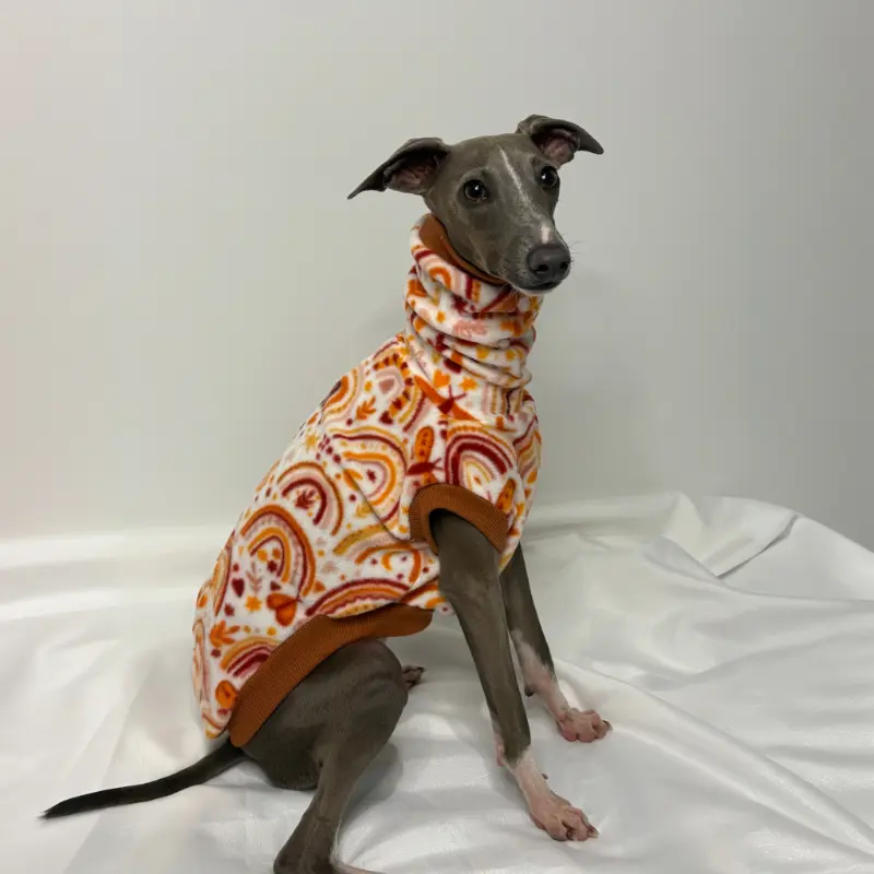 Kevin the Italian Greyhound Modelling The Sighthound Collection Sleeveless Tank in Rusty Butterfly Fleece, earthy first nations inspired print