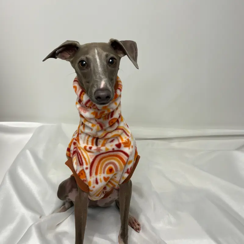 Kevin the Italian Greyhound Modelling The Sighthound Collection Sleeveless Tank in Rusty Butterfly Fleece, earthy first nations inspired print sitting up front view