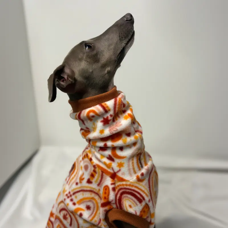 Kevin the Italian Greyhound sitting up with head heald high while Modelling The Sighthound Collection Sleeveless Tank in Rusty Butterfly Fleece, earthy first nations inspired print
