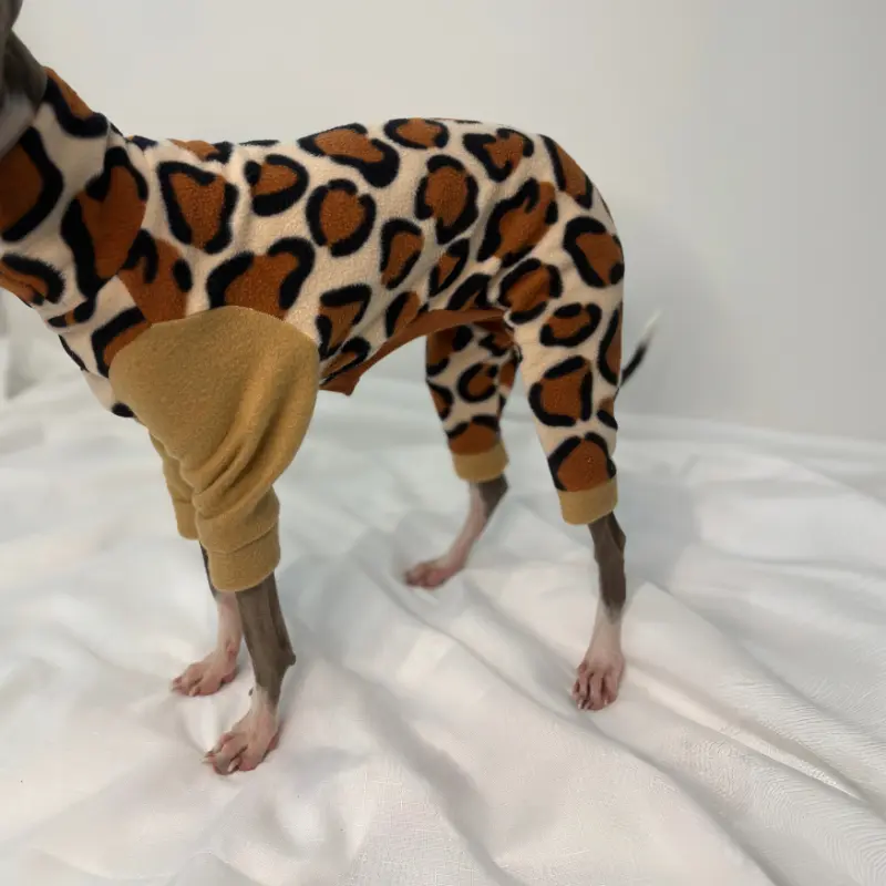 Kevin the Italian Greyhound standing up looking from the side to show side of the Cheetah patterned Full Suit